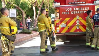 1 Discovered Dead in Valley Village Apartment Fire; Arson Investigation Underway