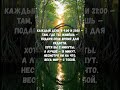 🌍 9:00 и 21:00 — Момент радости для всего мира | Ежедневный ритуал