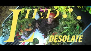 LIED | DESOLATE | OFFICIAL VIDEO 4K