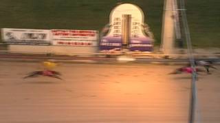 Ipswich-12032016-Race-2