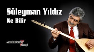 Süleyman Yıldız - Ne Bilir (Canlı Performans - Türkü) Resimi