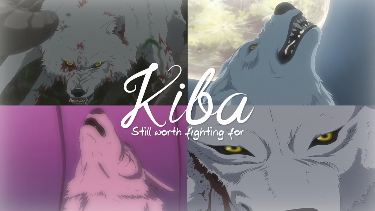 Kiba - Still Worth Fighting For 【Wolf's Rain AMV】