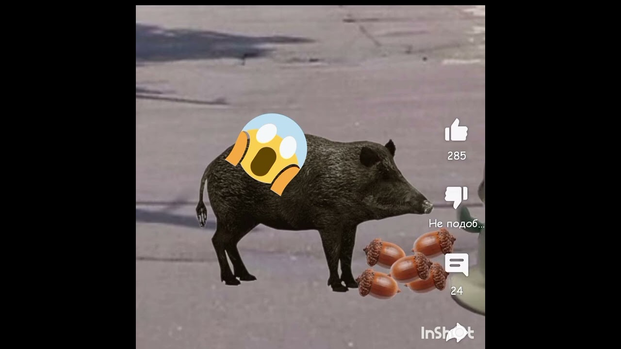 побог от Момо (add runud 1)