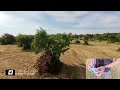 DJI NEO FPV - Full Acro MODE - 6.7.2025
