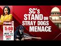 Supreme Court's Stand On Stray Dog Menace | Twisha Sharma Death Mystery