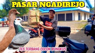 Berburu Merpati Giringan Dipasar Ngadirejo Temanggung Tes Terbang Cocok Bungkus Part 2