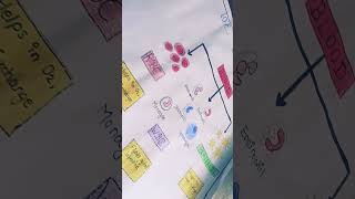 holiday homework 🤟🏻🤧#components of blood🩸