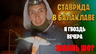 Ставрида в Балаклаве.Поймай если найдешь место. Знаешь шо? Рыбалка в Крыму