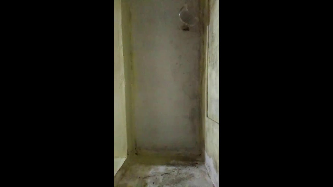 पुनीता पुनीता 07 h  लाइव है!