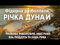 Фідерна риболовля на Дунаї — ранок, язь, поддуст і білоглазка!