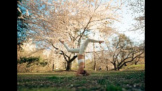 Cinematic Yoga Film Central Park New York 4K