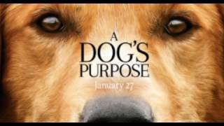 Home we'll go - Walk off the Earth ( A dog's purpose ) 
