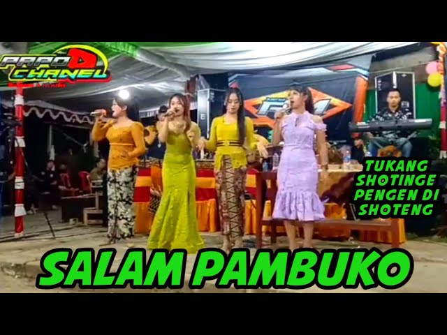 salam pambuko rahayu musik.#salampambuko class=