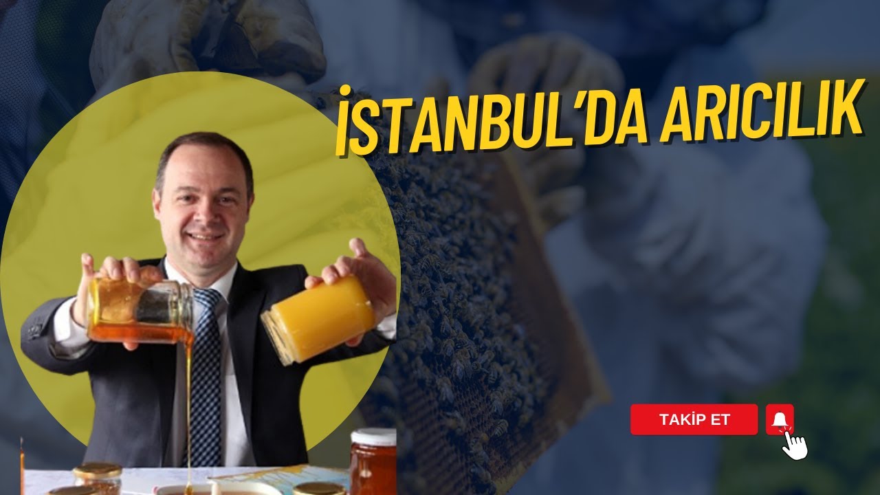 İSTANBUL'DA ARICILIK I KÖYDE ARICILIK