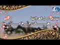 شيلة مطير ل سعود القت بصوت الهيلا حاكم الشيباني