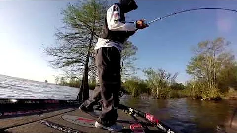 Jason Christie's INSANE spinnerbait day at Toledo ...