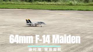 Freewing 64mm F-14 maiden by 東哥  首航