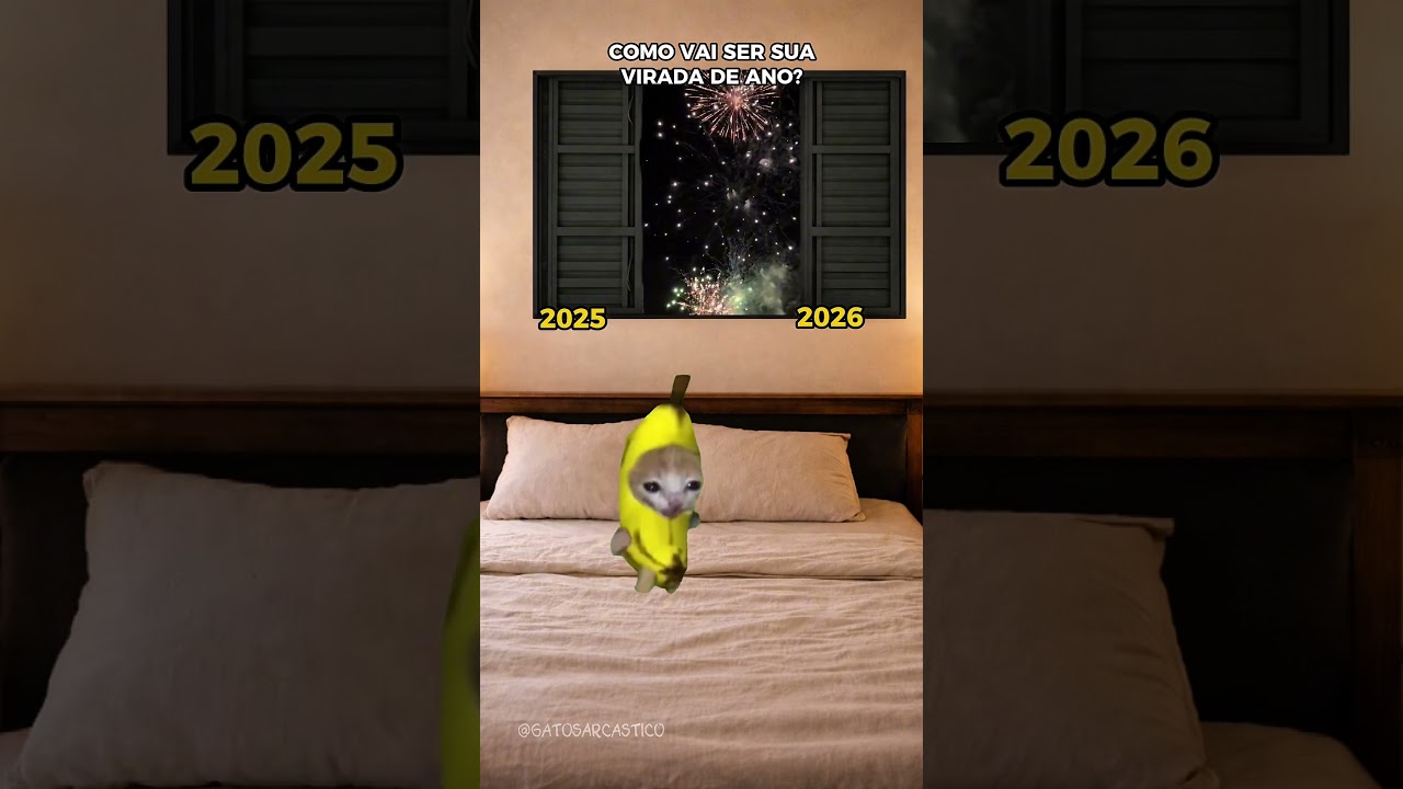 Minha virada de ano🤣#catmeme #viradadeano #2026 #engraçado