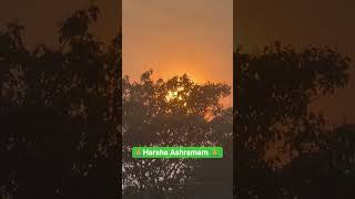 #morning #evening #sleep #garikapatinarasimharao #ashramam
