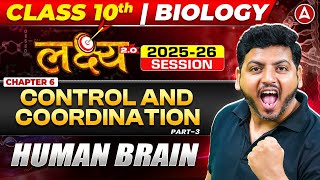 Control And Coordination | Class 10 Science Chapter 6 | Human Brain by Raghvendra sir Wealth