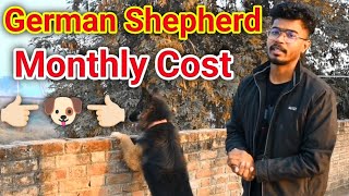 German Shepherd Monthly Cost | Expenses....Dog Pr Monthly Kharch Kitna Aata Hai | #ankitup60  #dog