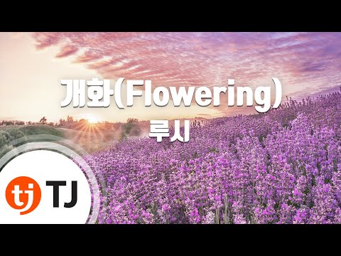 [TJ노래방 / MR Live] 개화(Flowering) - 루시 / TJ Karaoke