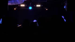 Loving Sweet Fruit Tulips, Fort Worth, Texas Saturday, March 9, 2024