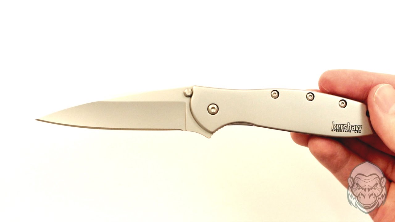 Kershaw Leek Folding Knife