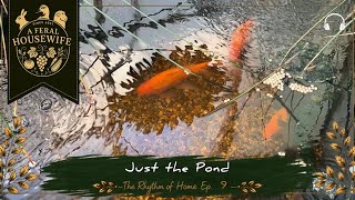 Goldfish Pond & Waterfall Sounds | The Rhythm of Home