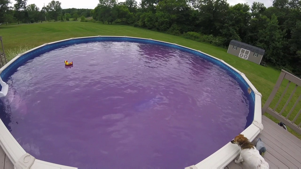 Purple Pool - YouTube