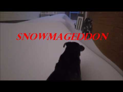 SNOWMAGEDDON .. Sudbury Ontario. Canada.
