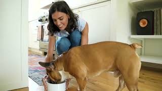 Picky Pet Parents? These are Must-Haves! by Oxyfresh 1,816,962 views 2 years ago 52 seconds