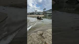 We Cleared the Kelp and It Drained