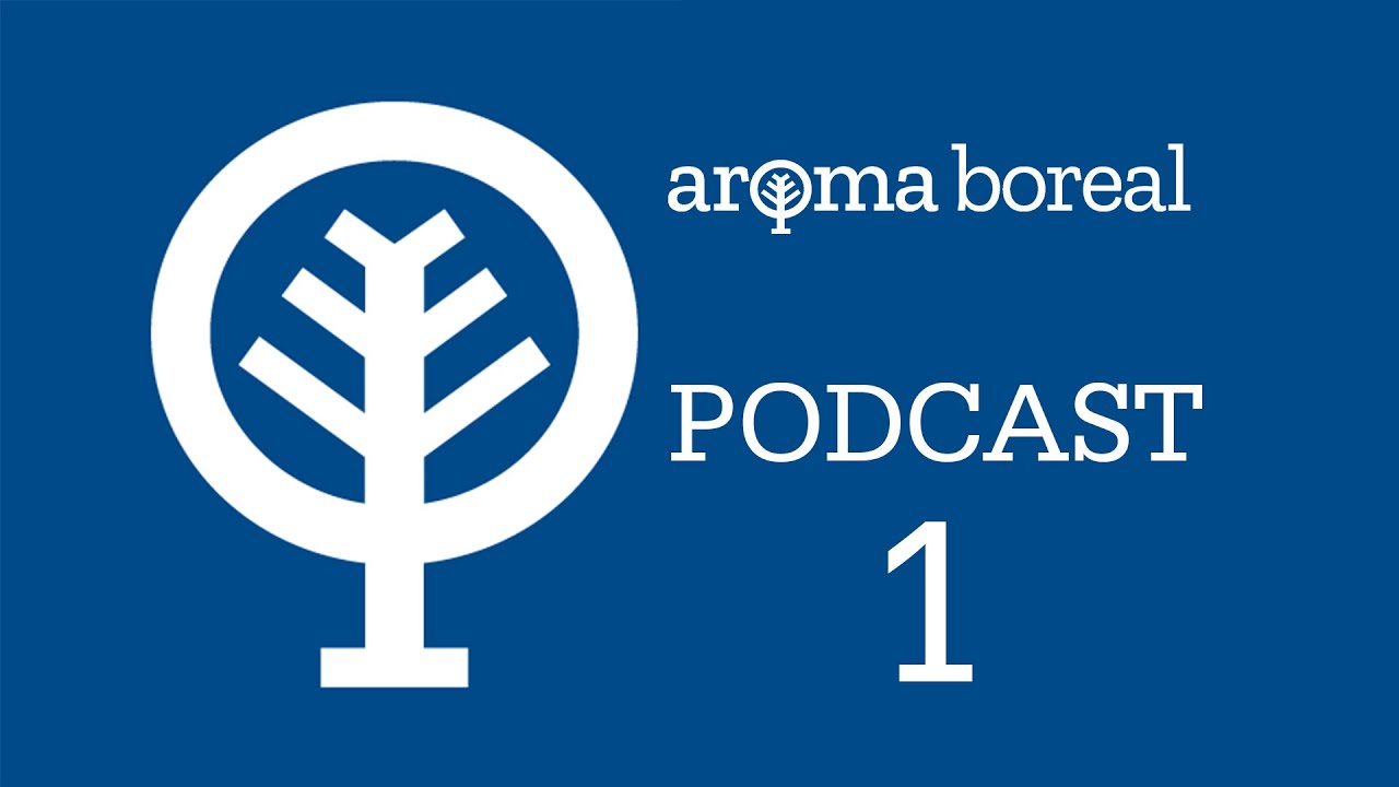 Videocast & Podcast "bothane.pt" 1/4 - Apresentação da empresa