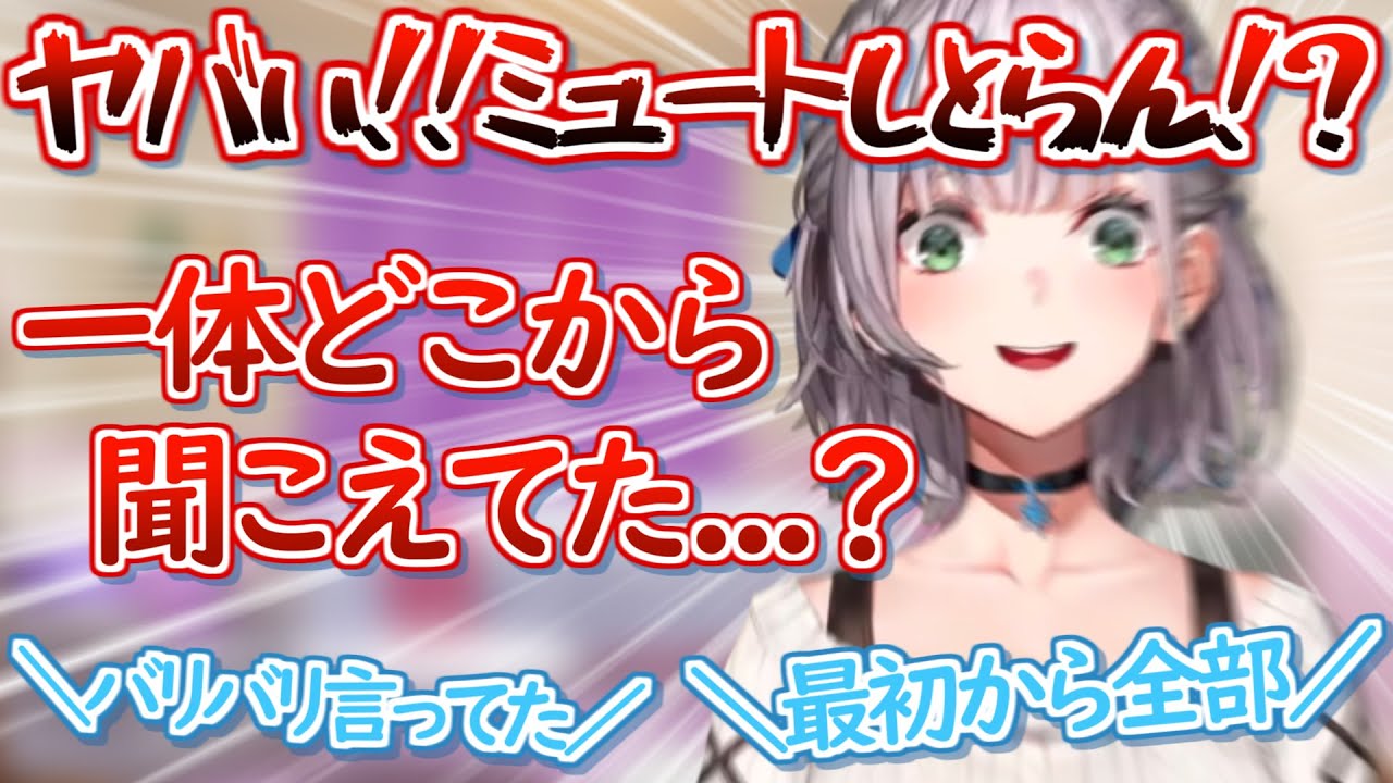 ミュート忘れで私生活音だだ漏れのポンをしてしまうノエル団長【ホロライブ 切り抜き 白銀ノエル 】