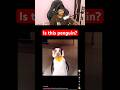 Is this penguin 😵‍💫 #funny 😂