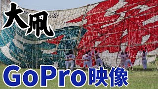 Goproつけて大凧揚げしてみた相模の大凧神奈川県相模原市4K