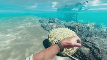 Stranded Deep [Day 21] Longplay No Commentary
