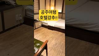 호텔에서 공산성이 보여요 #로드리테레비 #여행 #日本語通訳ガイド #공주inkhotel | 로드리 감성산책