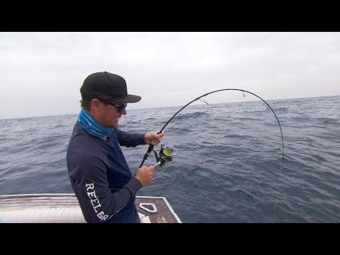 IFISH PROMO - Season 15 Episode 4
