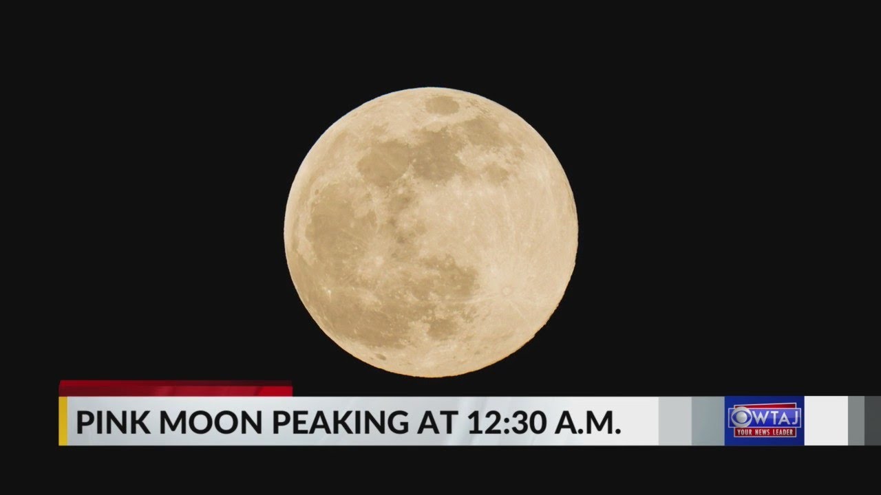 What Is A Pink Moon And When Can You See It YouTube what-is-a-pink-moon-and-when-can-you-see-it-youtube
