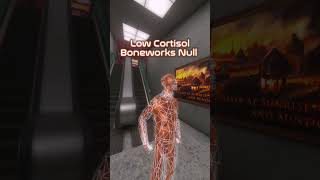 Low cortisol Boneworks null #bonelab