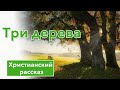 Три дерева  Христианский  рассказ💚