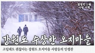 전 주민이 스키 자격증은 하나씩 갖고 있는 마을. 일 년의 절반이 겨울이라는 강원도 오지마을 사람들의 날씨만큼 쿨한 인생관 이야기｜[국내여행] KBS 20170208