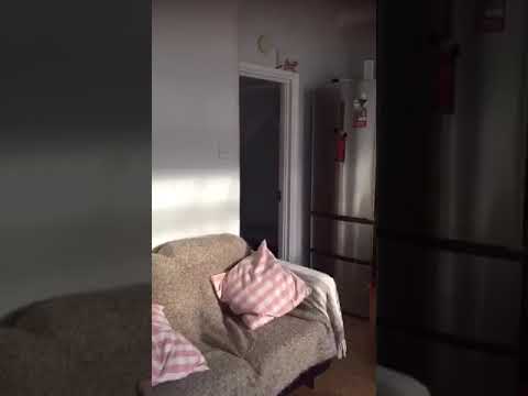 Video 1: