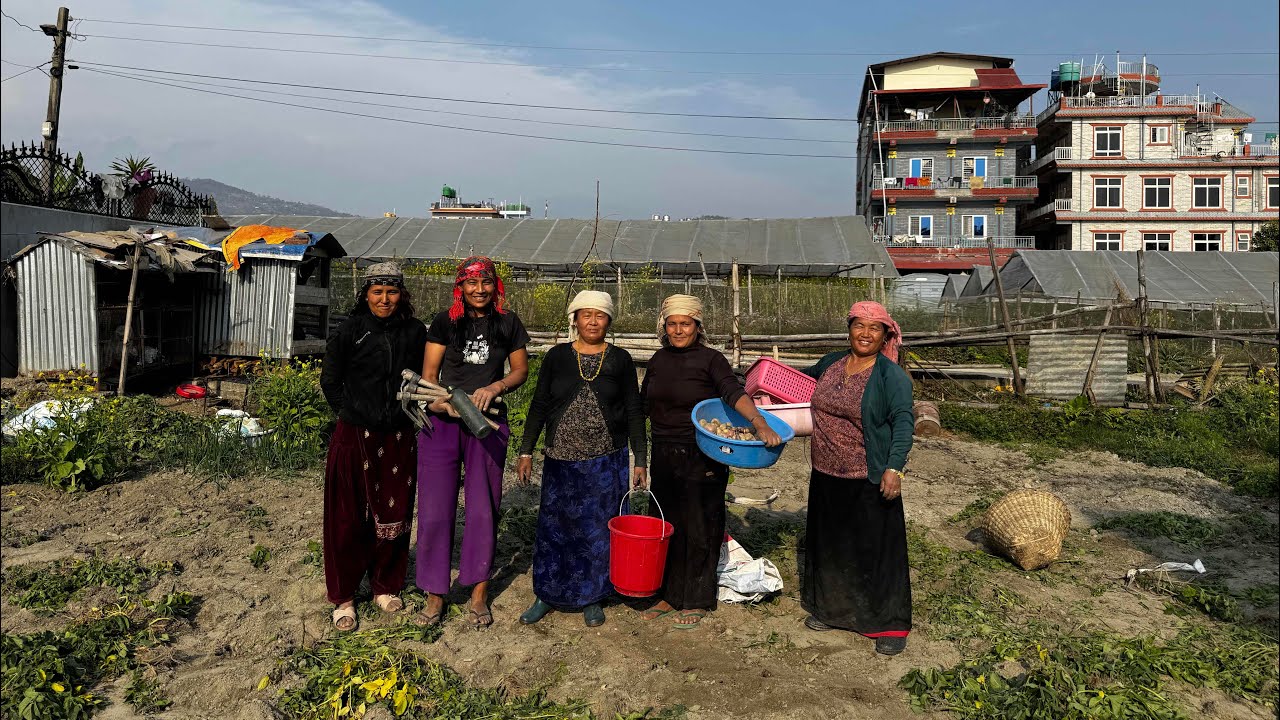 आज आलु खनीयो 🤭🥰 #foryou #shortvideo #foryourpage 