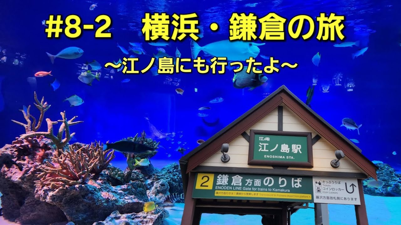 #8-2🇯🇵　横浜・鎌倉の旅2・3日目　2026年1月　江ノ島～鎌倉～東京