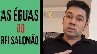 screenshot of the youtube video