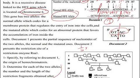 Grade 12 LS Midterm Exam Review Solution