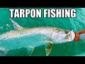 Tampa bay tarpon fishing madness tips tricks and techniques to catch tarpon